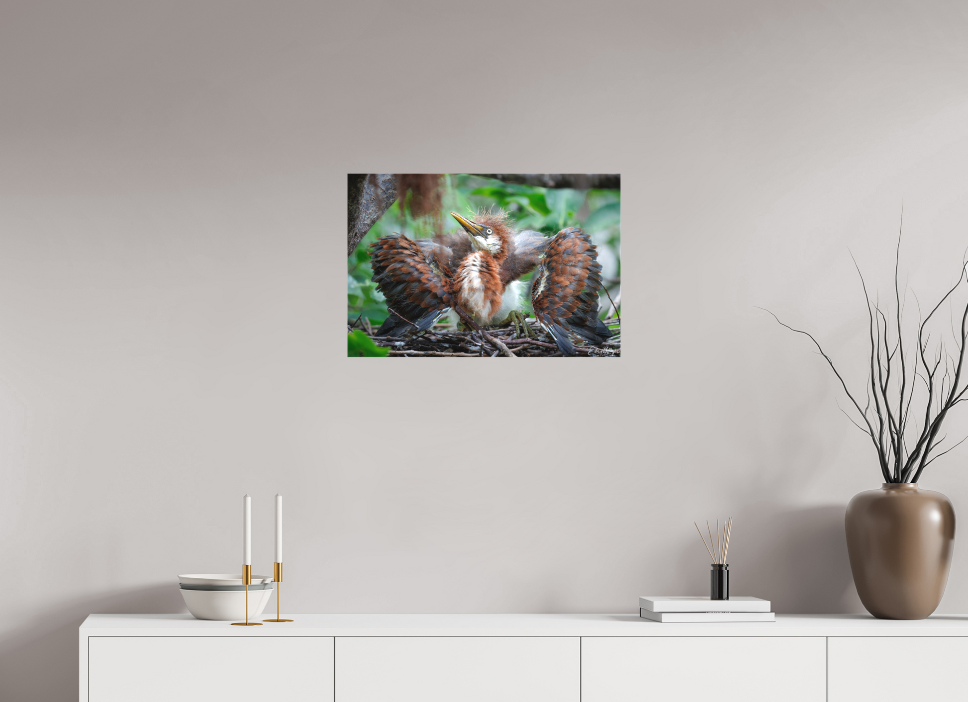 24 x 16″, Canvas "Finding My Wings" - Tricolored Heron