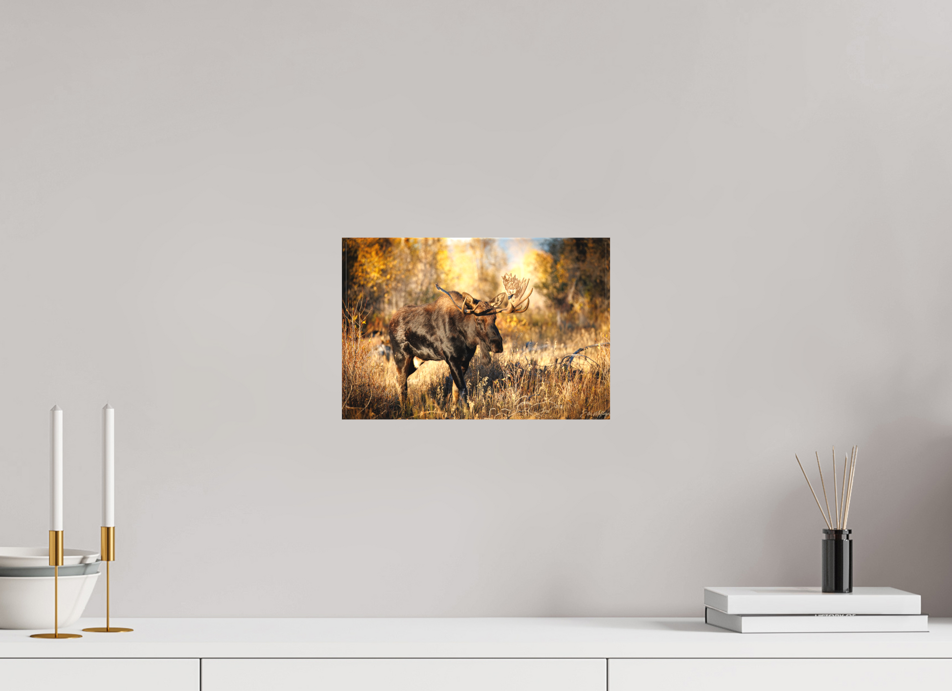 12 x 8″, Canvas "Monarch of Gros Ventre" - Bull Moose