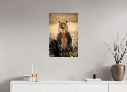 20 x 30″, Metal "Grin & Grizzly" - Grizzly Bear