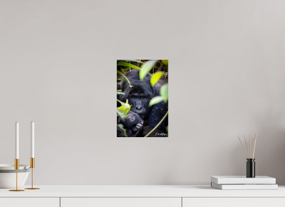 8 x 12″, Acrylic "The Watchful One' - Silverback and his young