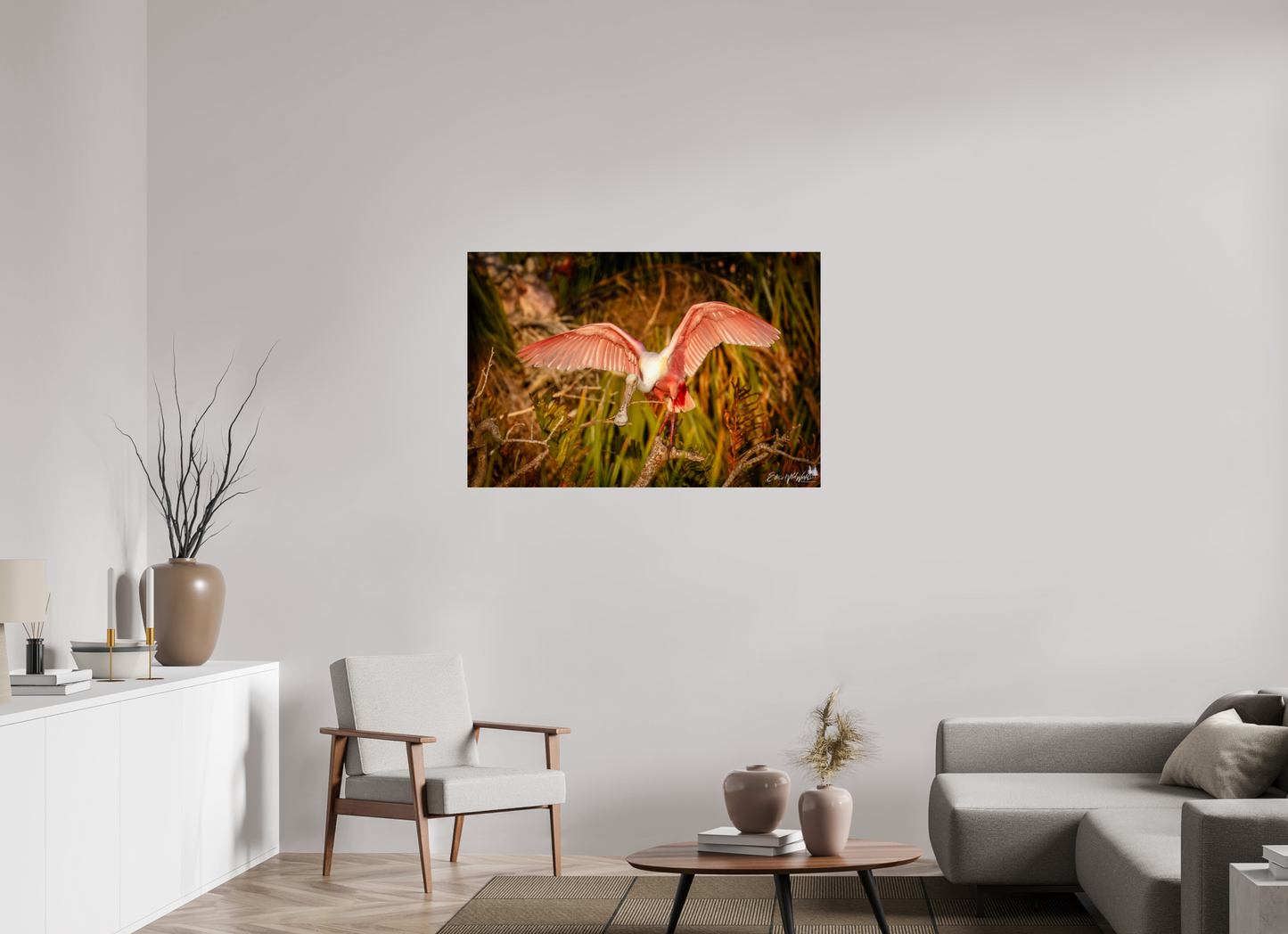 Sunset spoonbill