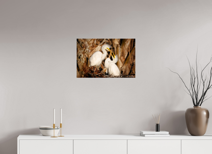 24 x 16″, Acrylic "Wetland Nursery" - Great Egrets