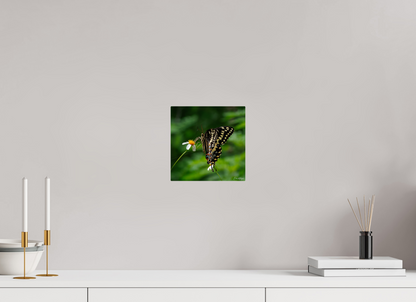 8 x 8″, Acrylic "Wildflower Landing" - Black Swallowtail