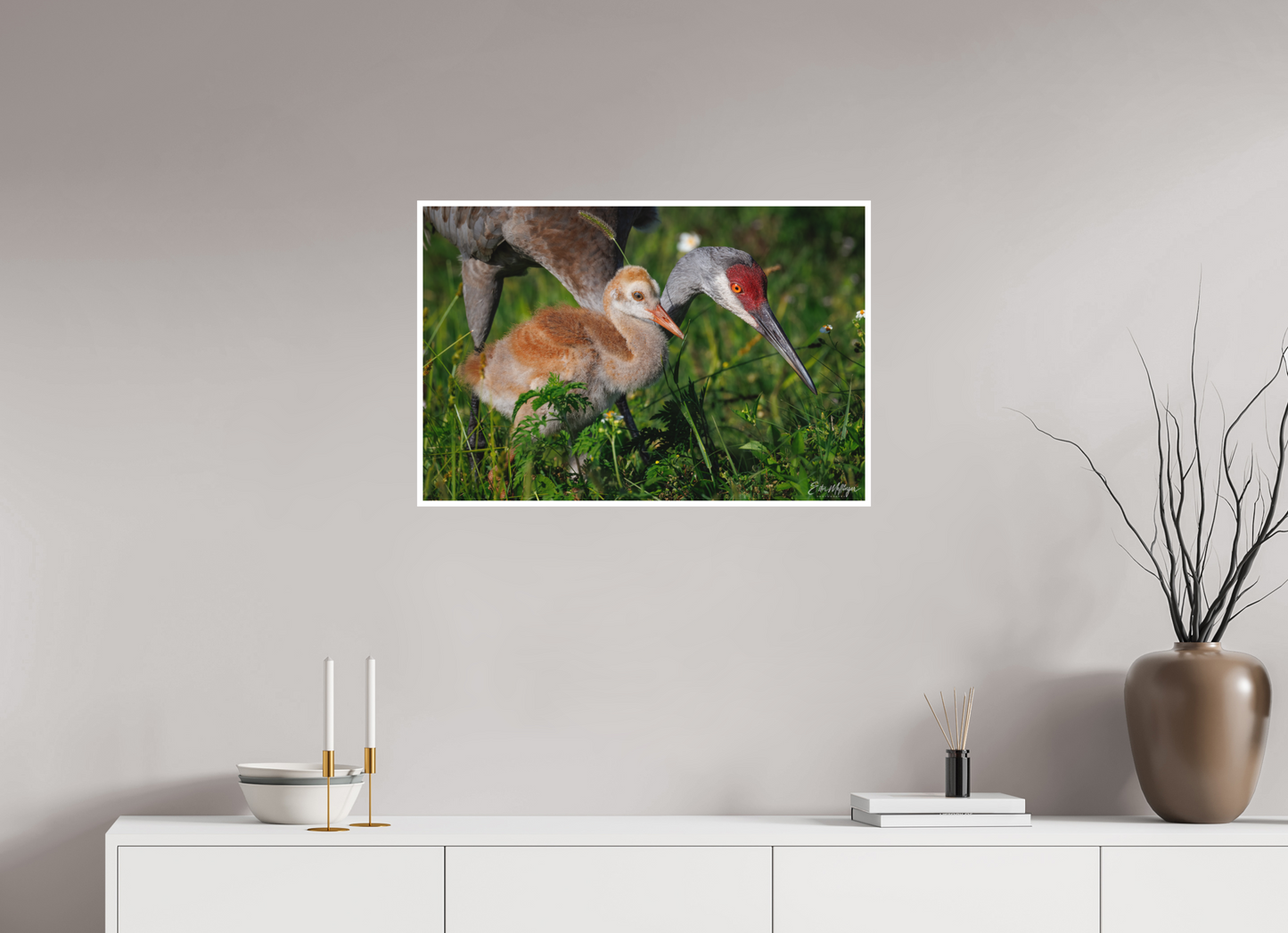 30 x 20″, Fine art print "Guiding the Next Generation" - Sandhill Cranes