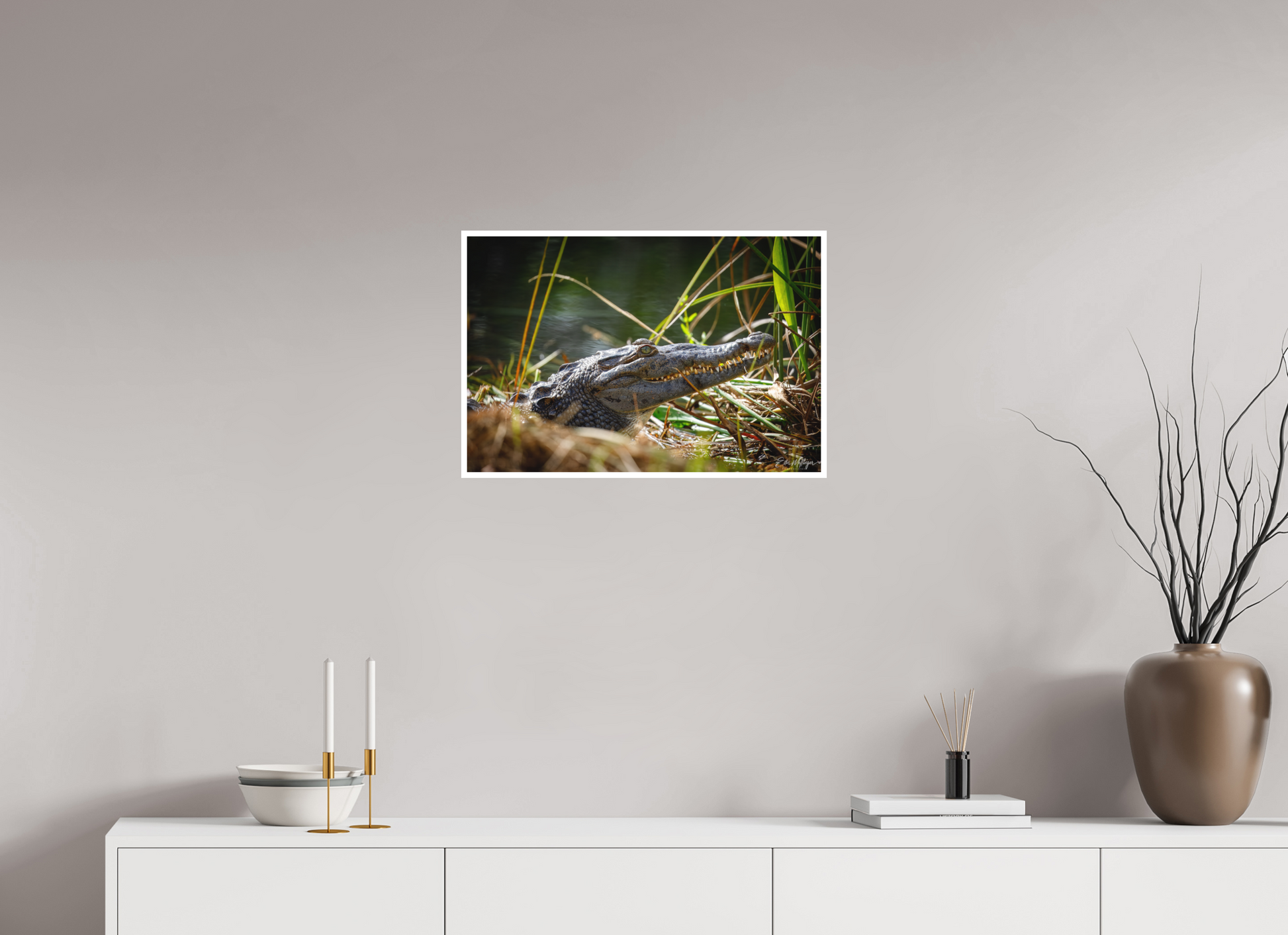 24 x 16″, Fine art print "Teeth of Time" - American Crocodile