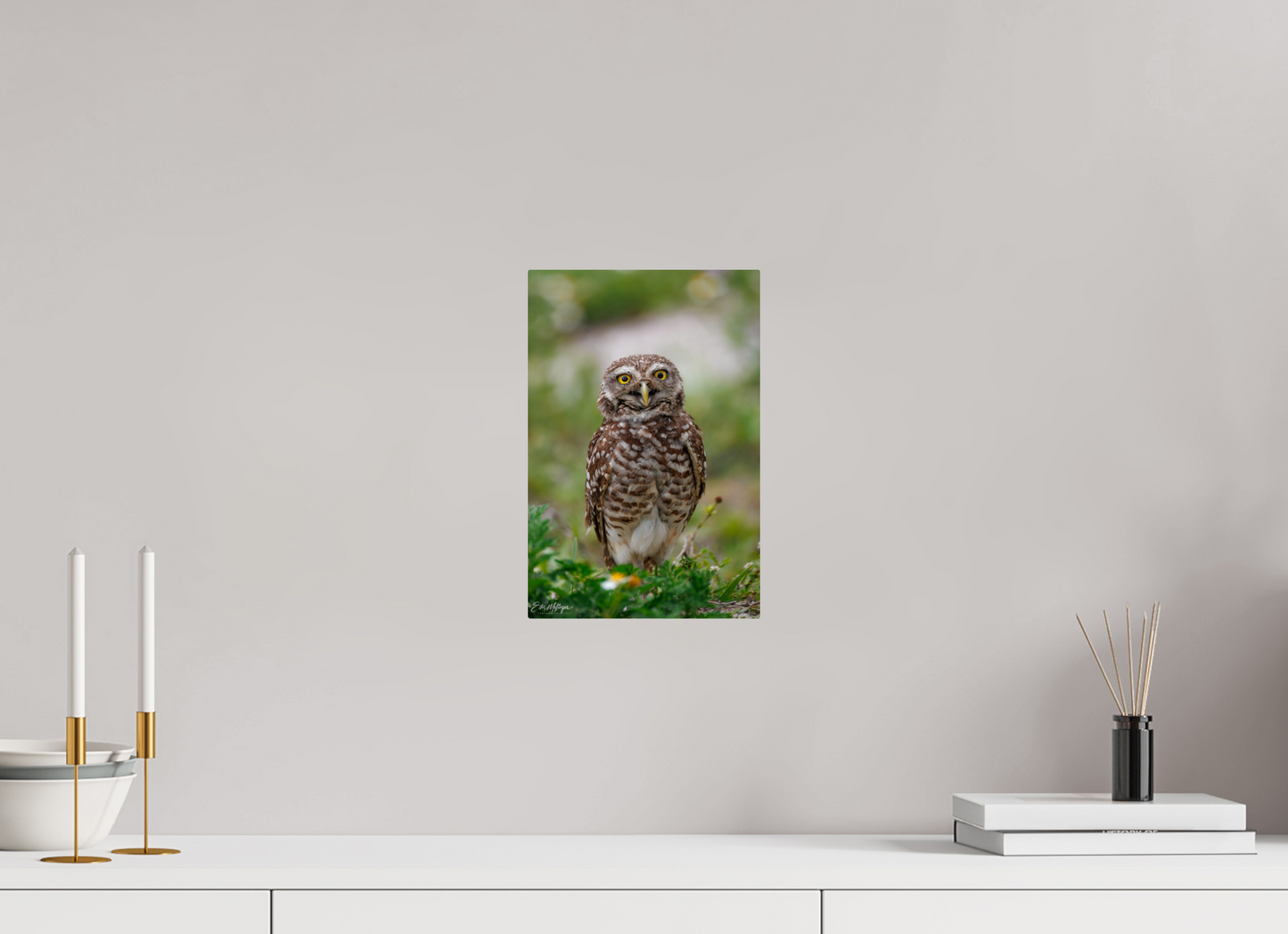 8 x 12″, Metal "Wide-Eyed Wonder" - Burrowing Owl