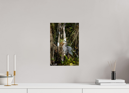 Great blue heron in the swamp