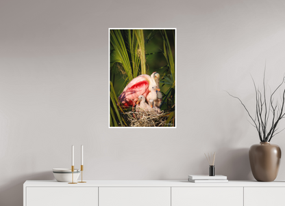 20 x 30″, Fine art print "Golden Hour Nest" - Spoonbills