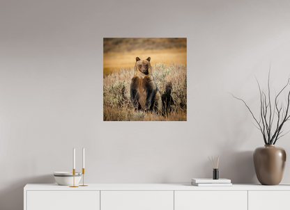 25 x 25″, Metal "Standing Tall" - Grizzly Bear