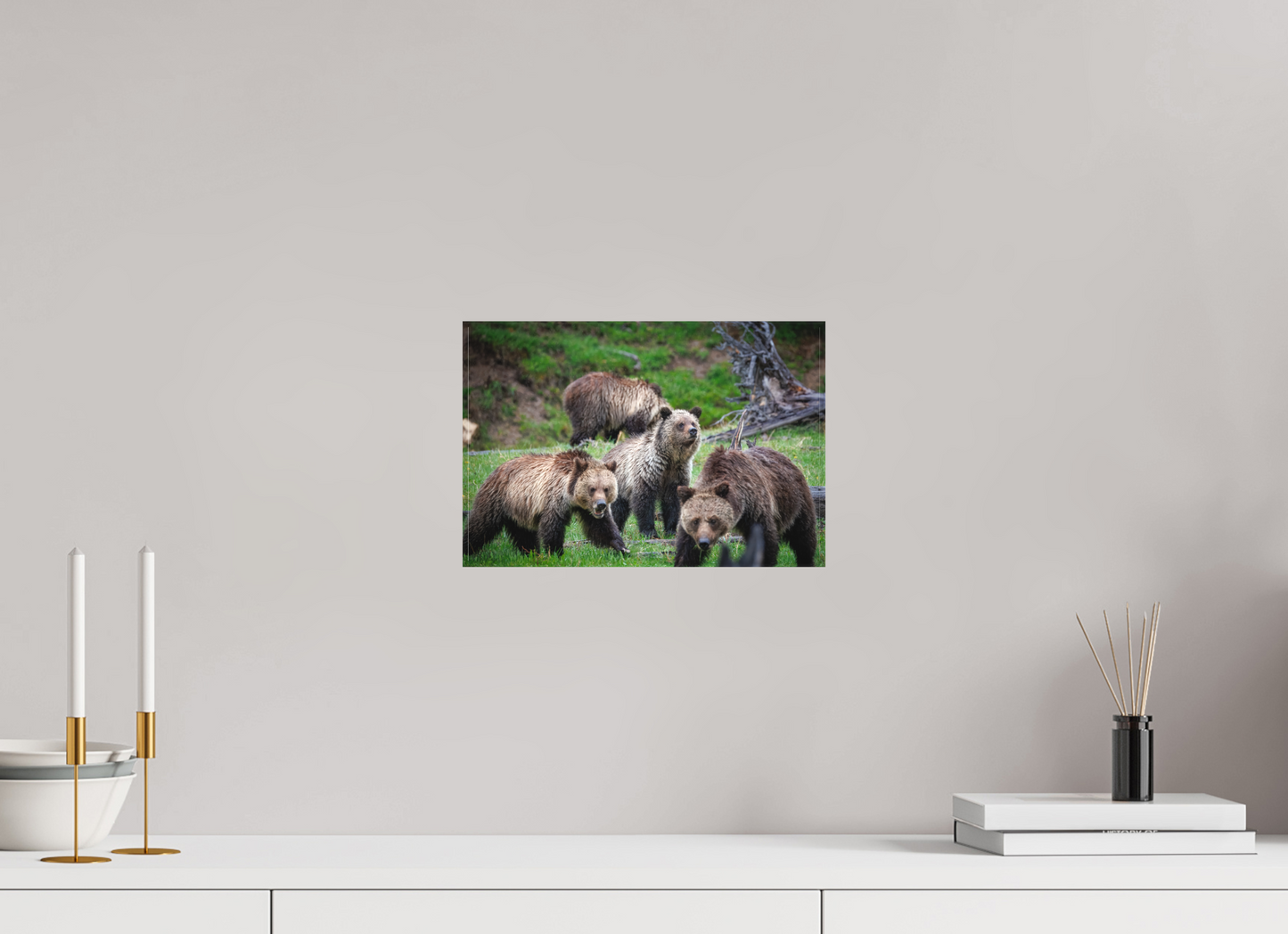 12 x 8″, Canvas "Family Watch" - Grizzly Bears