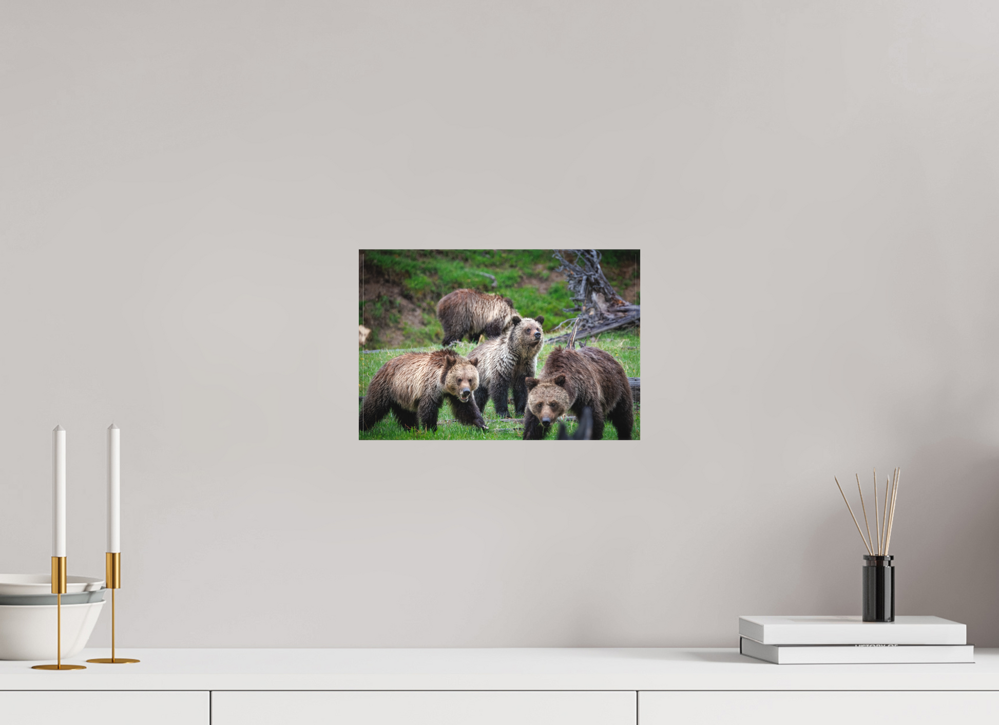 12 x 8″, Canvas "Family Watch" - Grizzly Bears