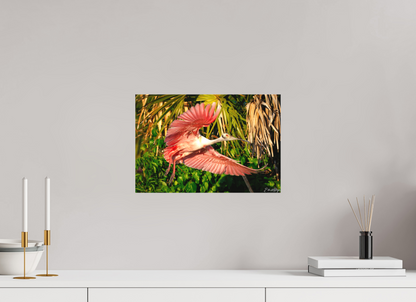 15 x 10″, Canvas "Brushstrokes of Pink" - Roseate Spoonbill