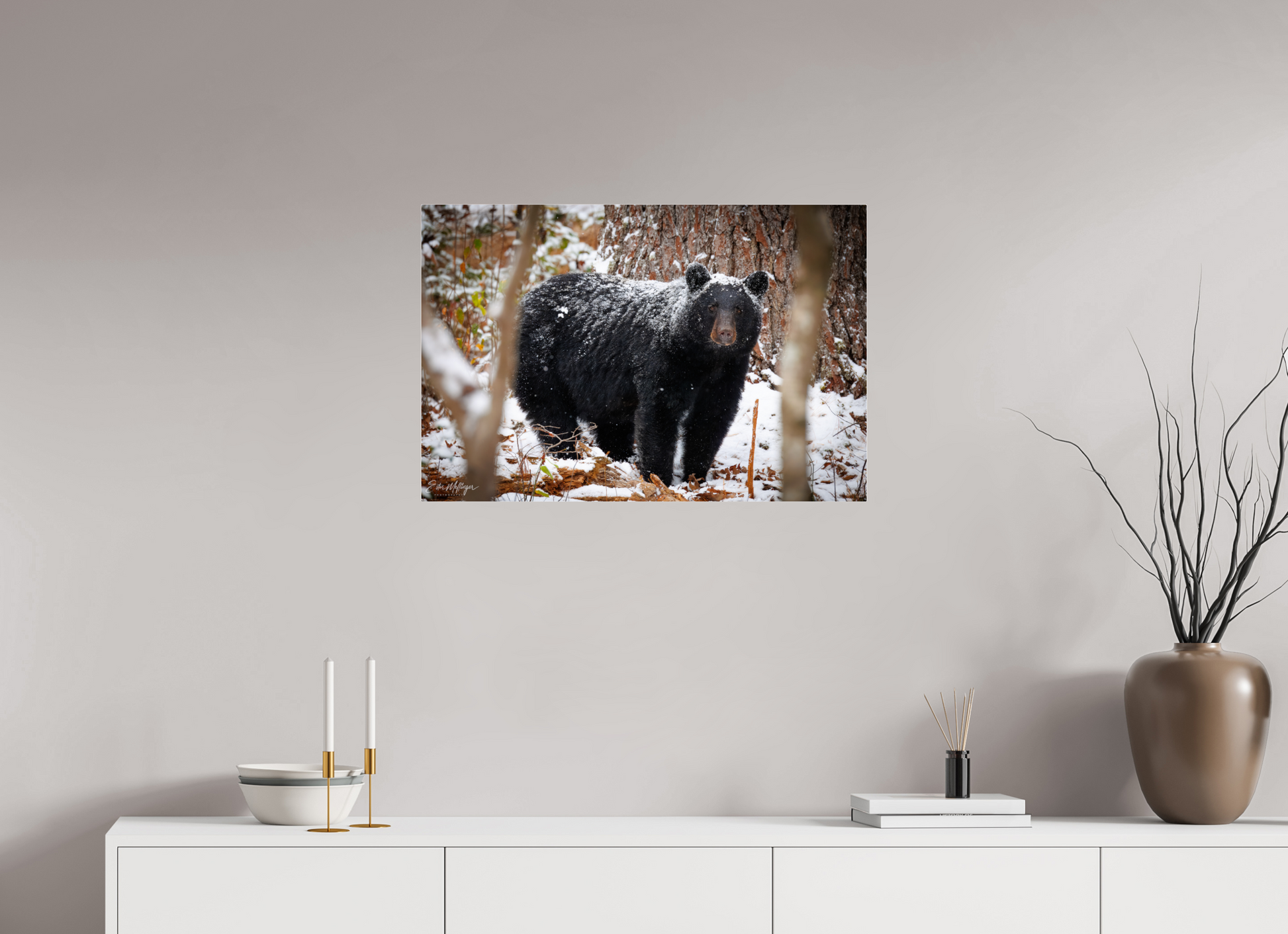 30 x 20″, Acrylic "Winter Watcher" - Black Bear