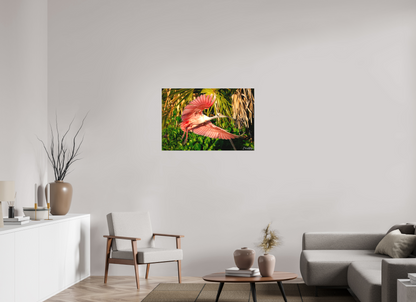 36 x 24″, Canvas "Brushstrokes of Pink" - Roseate Spoonbill