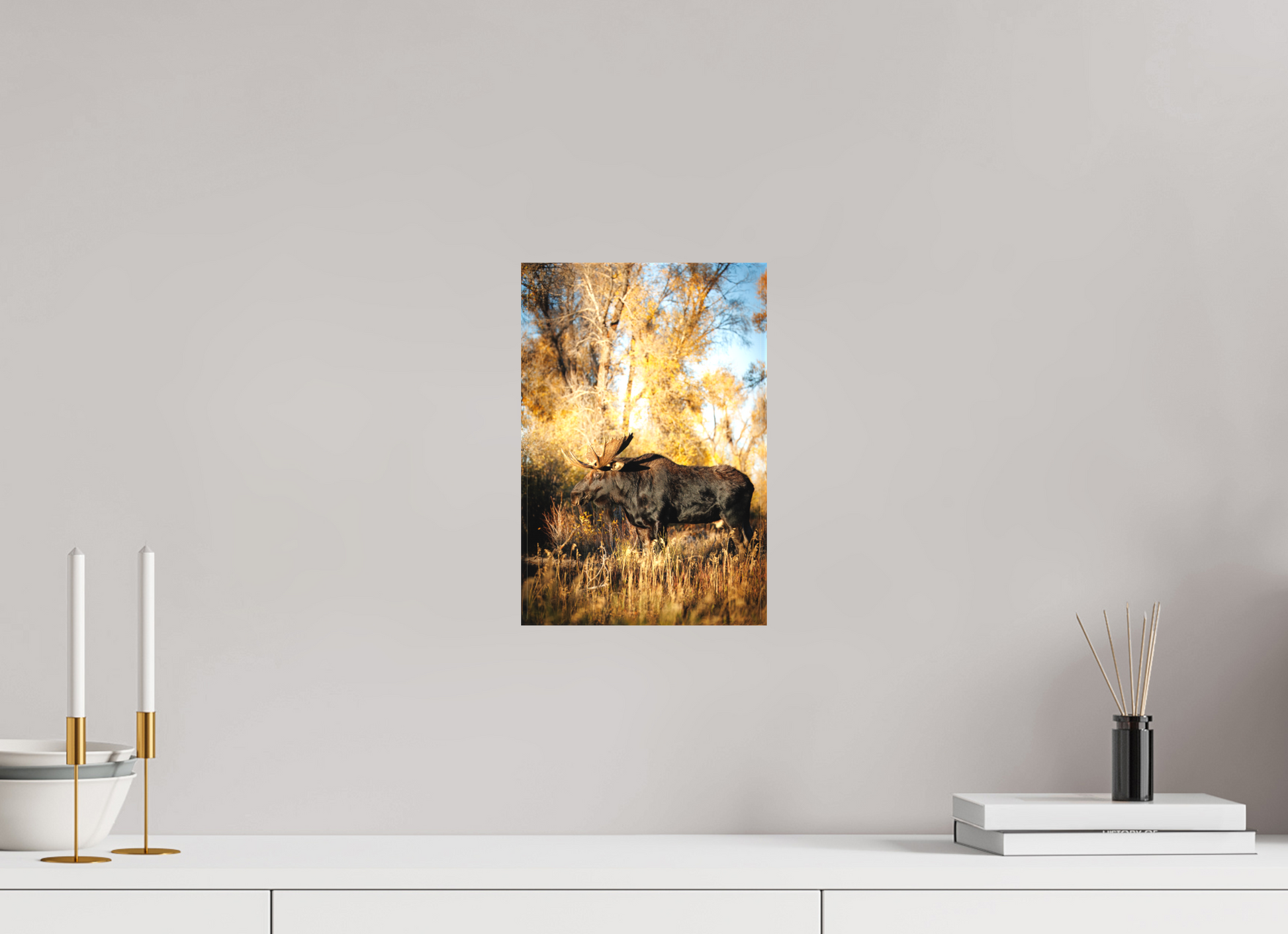 8 x 12″, Canvas "Monarch of Gros Ventre - Stillness" - Bull Moose