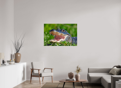 45 x 30″, Metal "Wide Open" - American Alligator