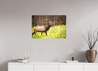 30 x 20″, Canvas "Call of the Wild" - Elk