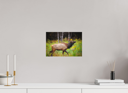12 x 8″, Canvas "The Challenger" - Elk