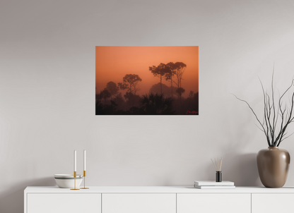 30 x 20″, Canvas "First Light" - Big Cypress Sunrise