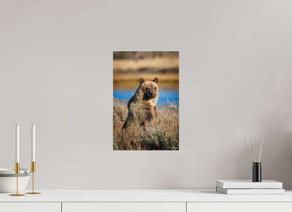 10 x 15″, Acrylic "River Watch" - Grizzly Bear