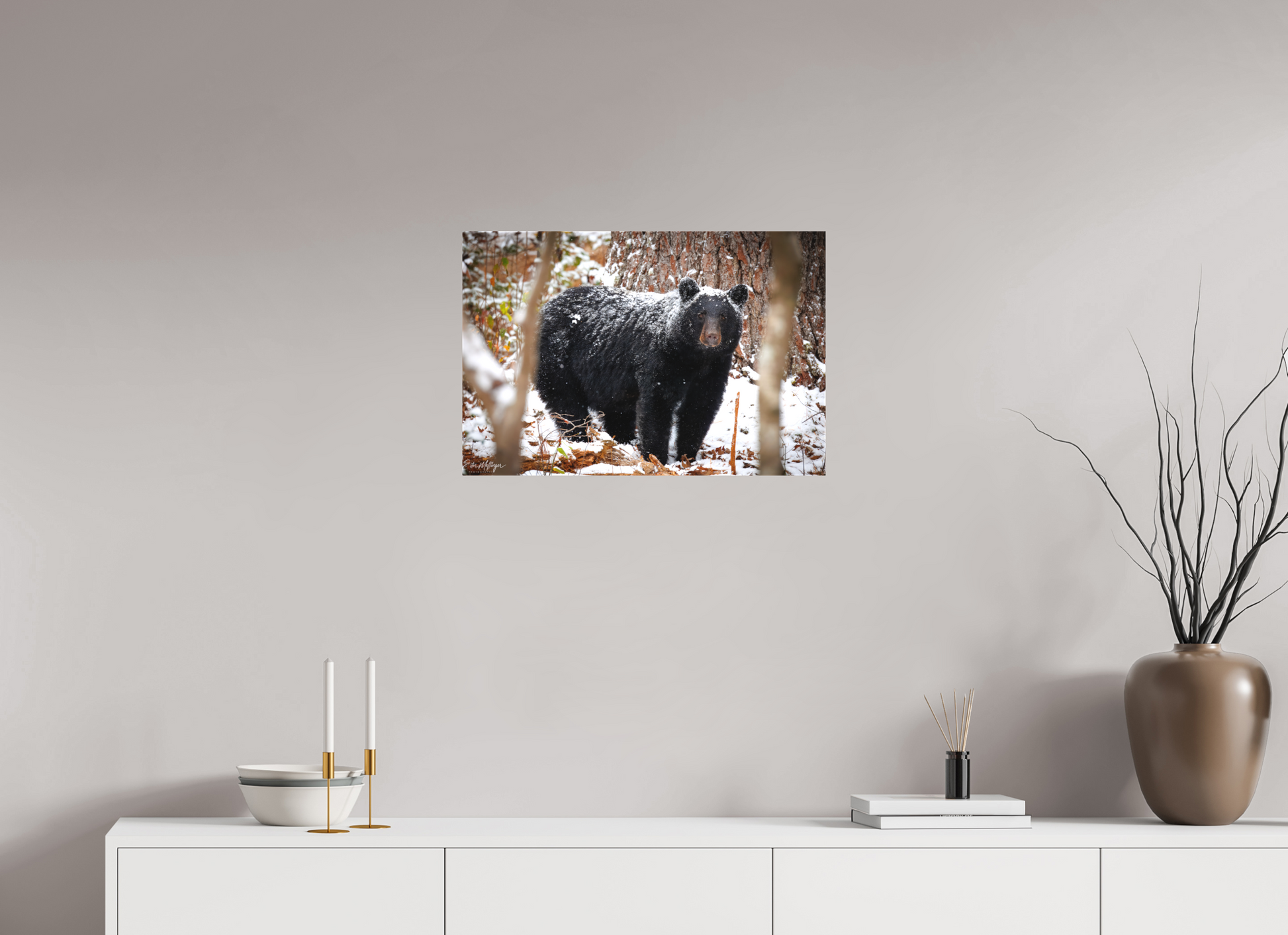 24 x 16″, Canvas "Winter Watcher" - Black Bear
