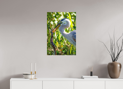 20 x 30″, Canvas "The Hunt in the Marsh" - Great Blue Heron