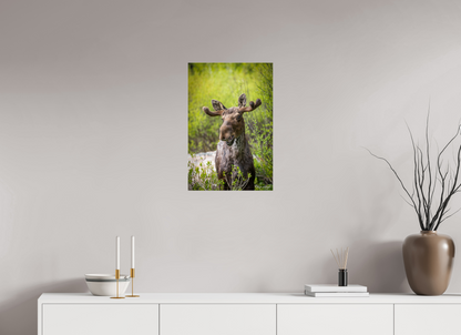 16 x 24″, Acrylic "Willow Smile" - Moose