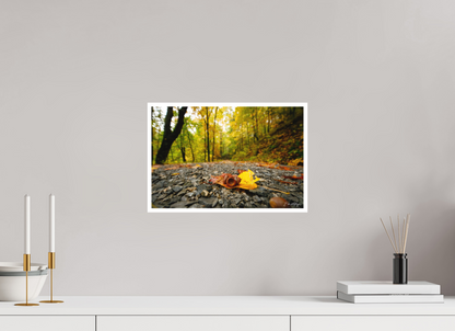 15 x 10″, Fine art print "The Long Way Home" - Cades Cove