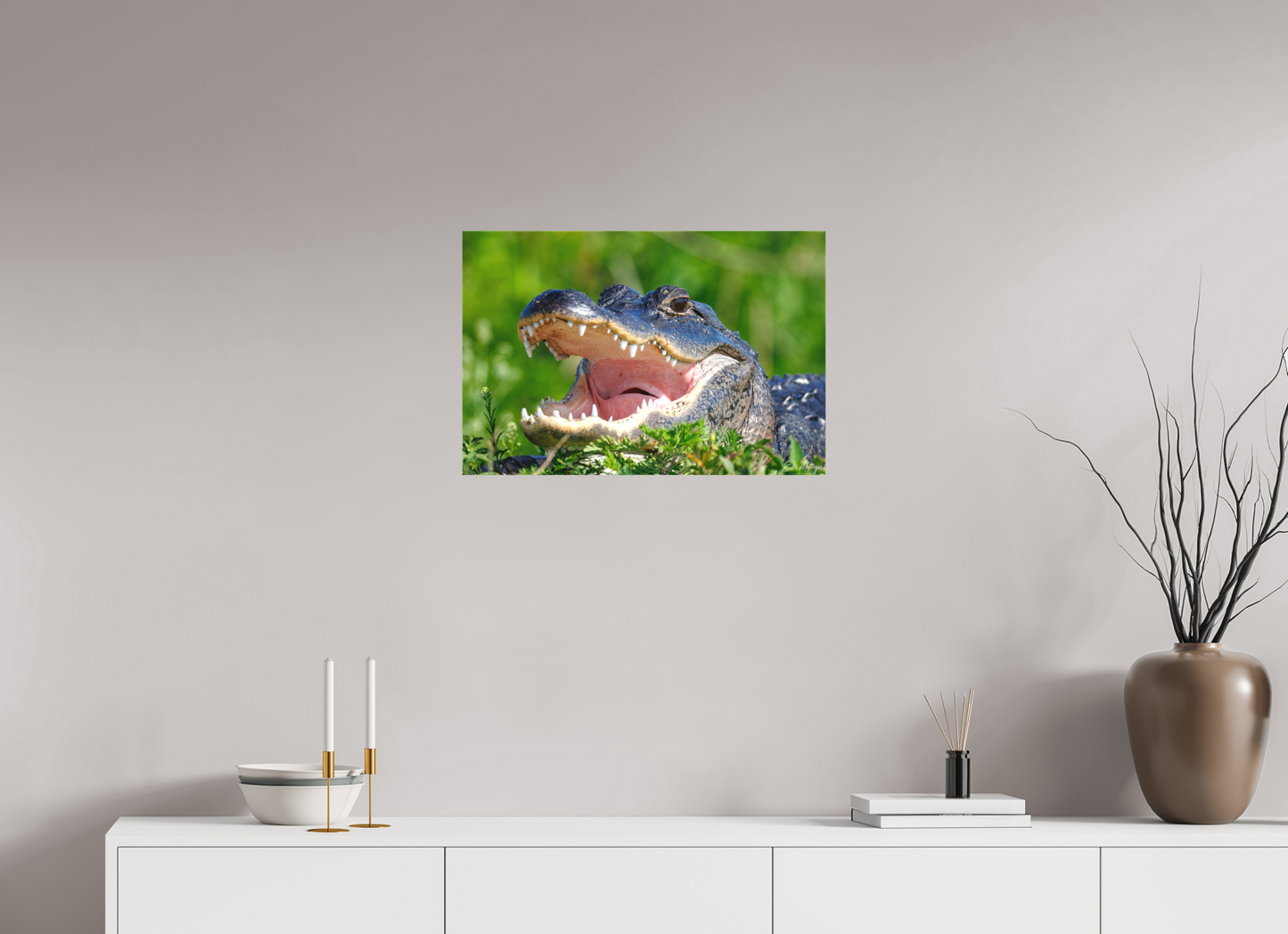 24 x 16″, Canvas "Wide Open" - American Alligator