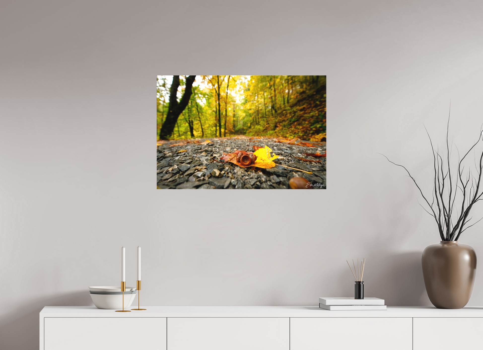 30 x 20″, Canvas "The Long Way Home" - Cades Cove