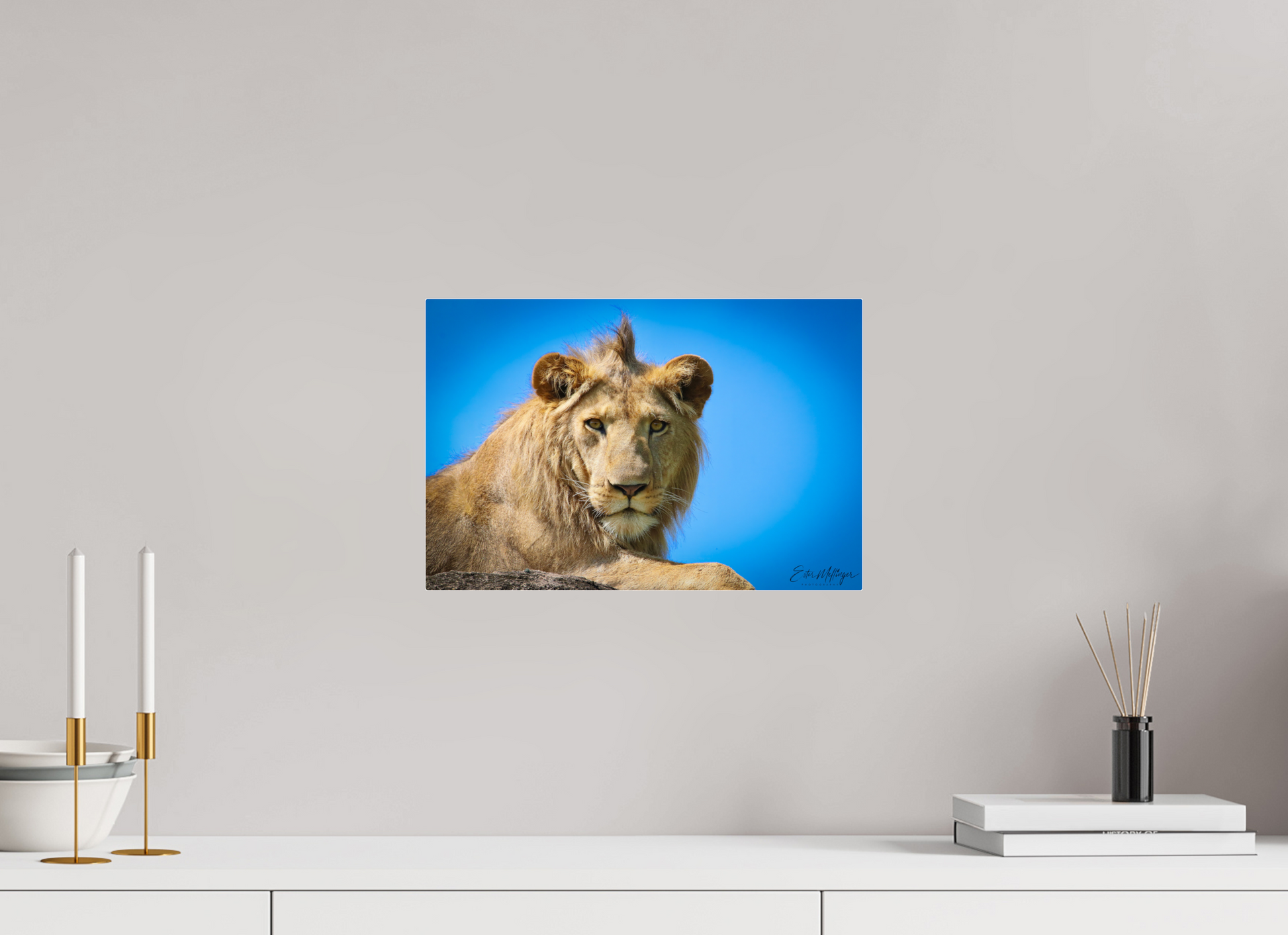 15 x 10″, Acrylic "The Monarch" - Lion of the Blue Sky