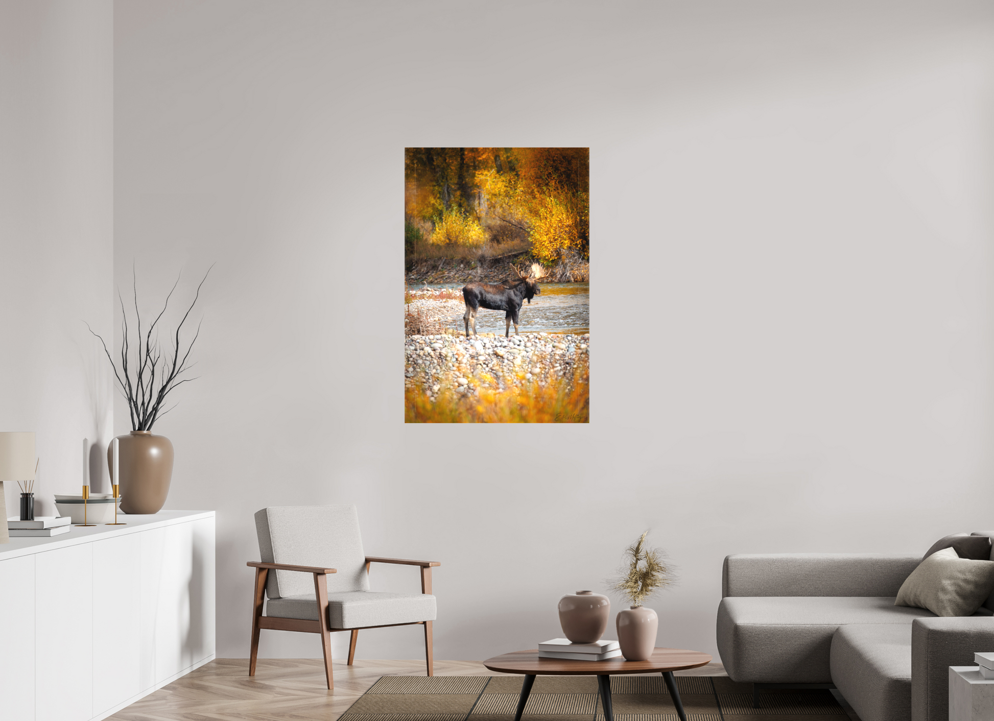 30 x 45″, Canvas "King of the Colors" - Bull Elk, Gros Ventre River