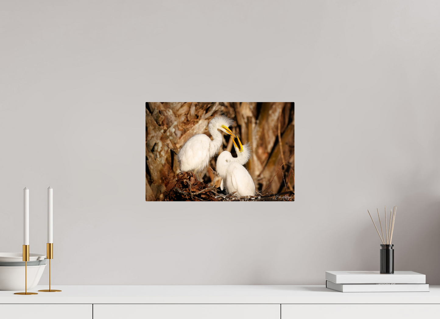 15 x 10″, Metal "Wetland Nursery" - Great Egrets