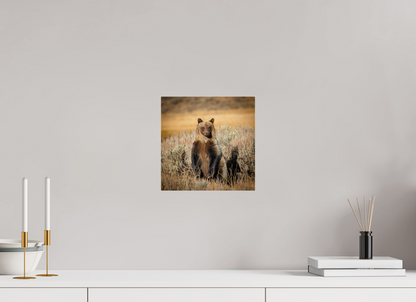 10 x 10″, Acrylic "Standing Tall" - Grizzly Bear