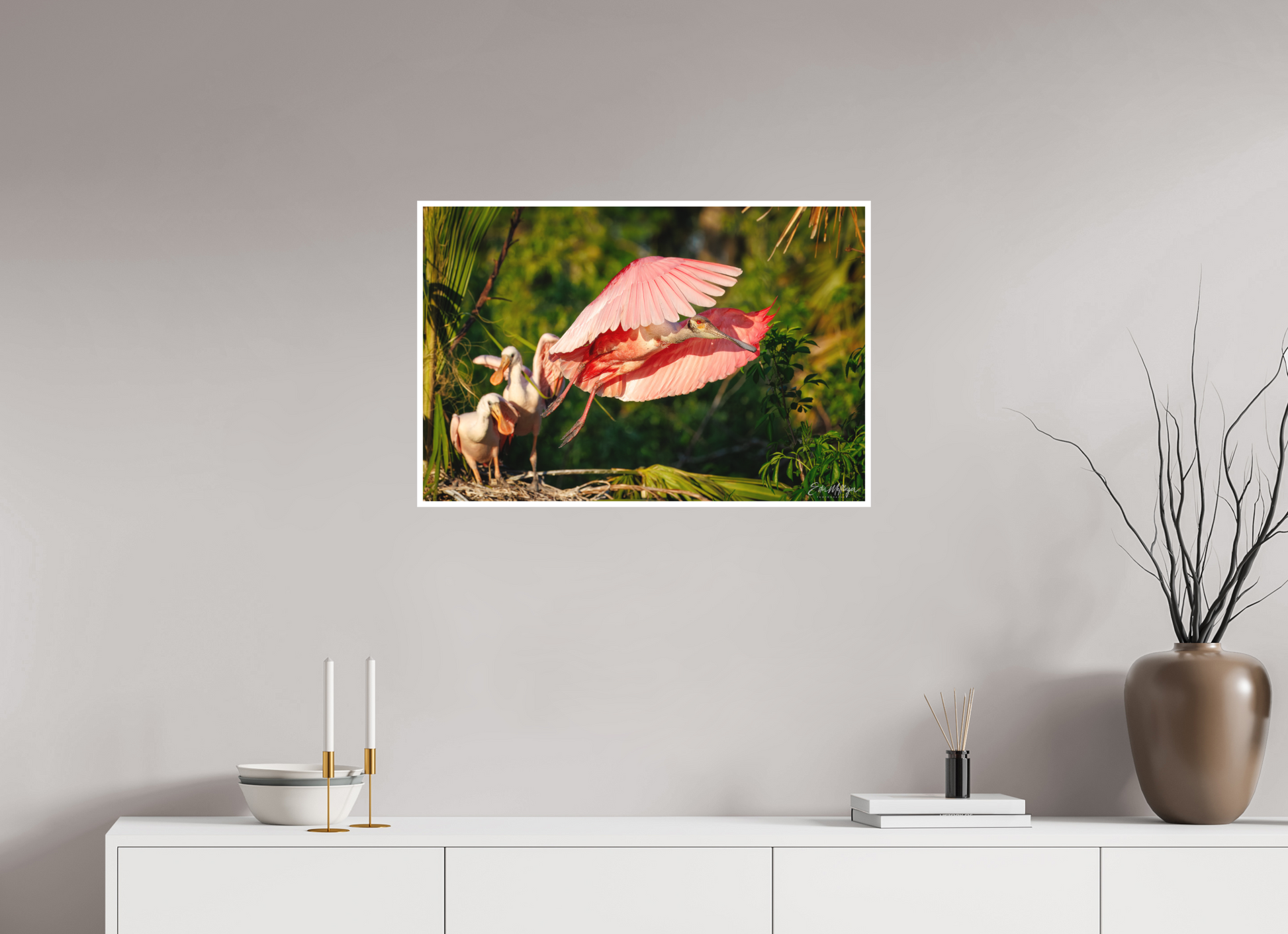 30 x 20″, Fine art print "After the Feeding" - Roseate Spoonbill