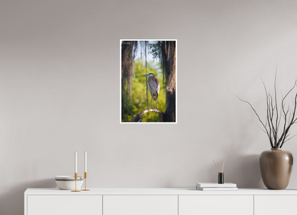 16 x 24″, Fine art print "Framed by the Moss" - Great Blue Heron