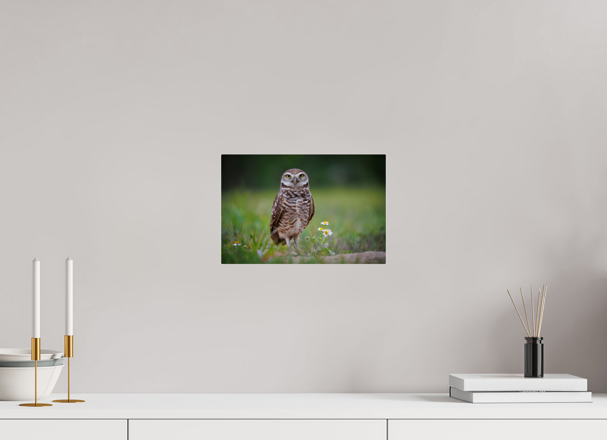 12 x 8″, Acrylic "The Watcher" - Burrowing Owl