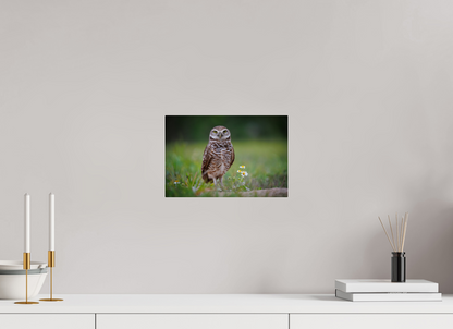 12 x 8″, Acrylic "The Watcher" - Burrowing Owl