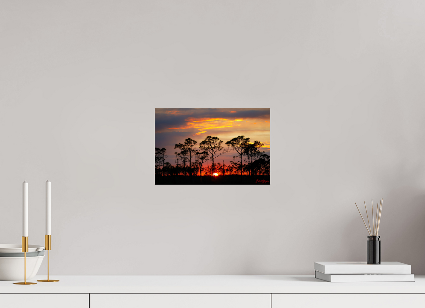 12 x 8″, Metal "Fire in the Pines" - Big Cypress Sunset