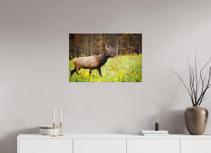 30 x 20″, Metal "Call of the Wild" - Elk