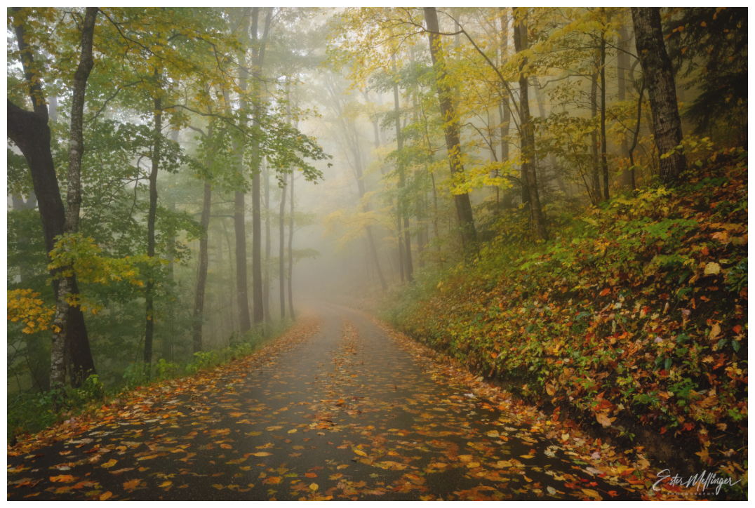 Main image "The Way Through the Mist"