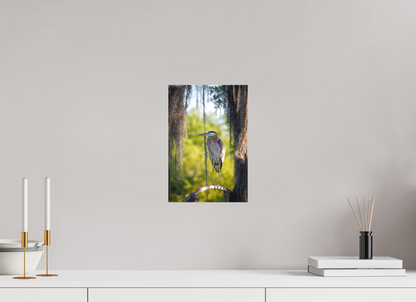 8 x 12″, Canvas "Framed by the Moss" - Great Blue Heron