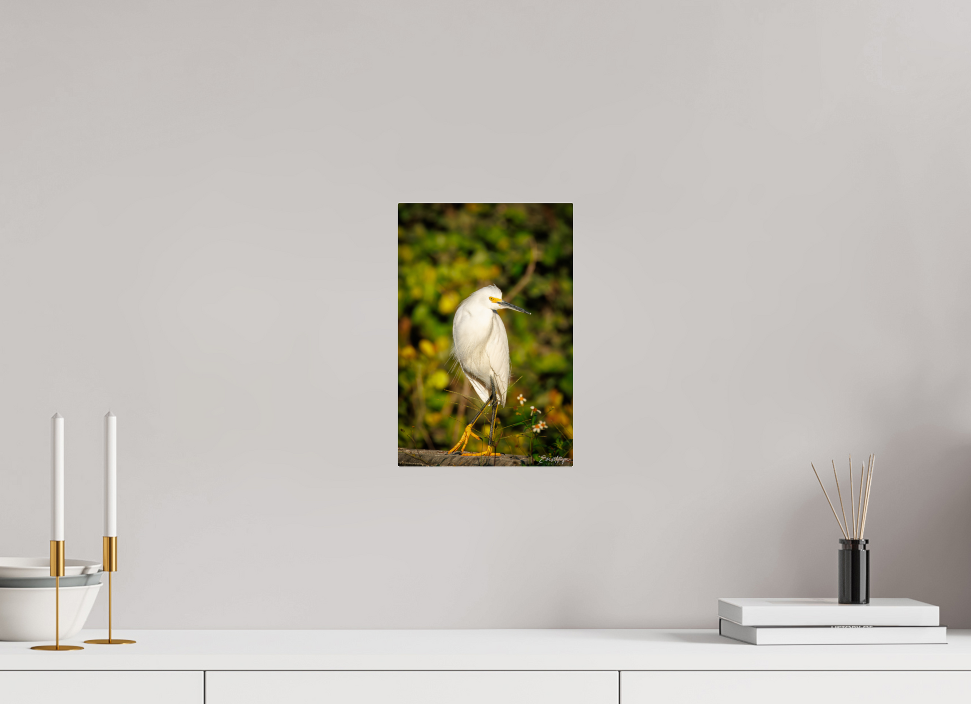 8 x 12″, Acrylic "Golden Light, White Silence" - Great Egret