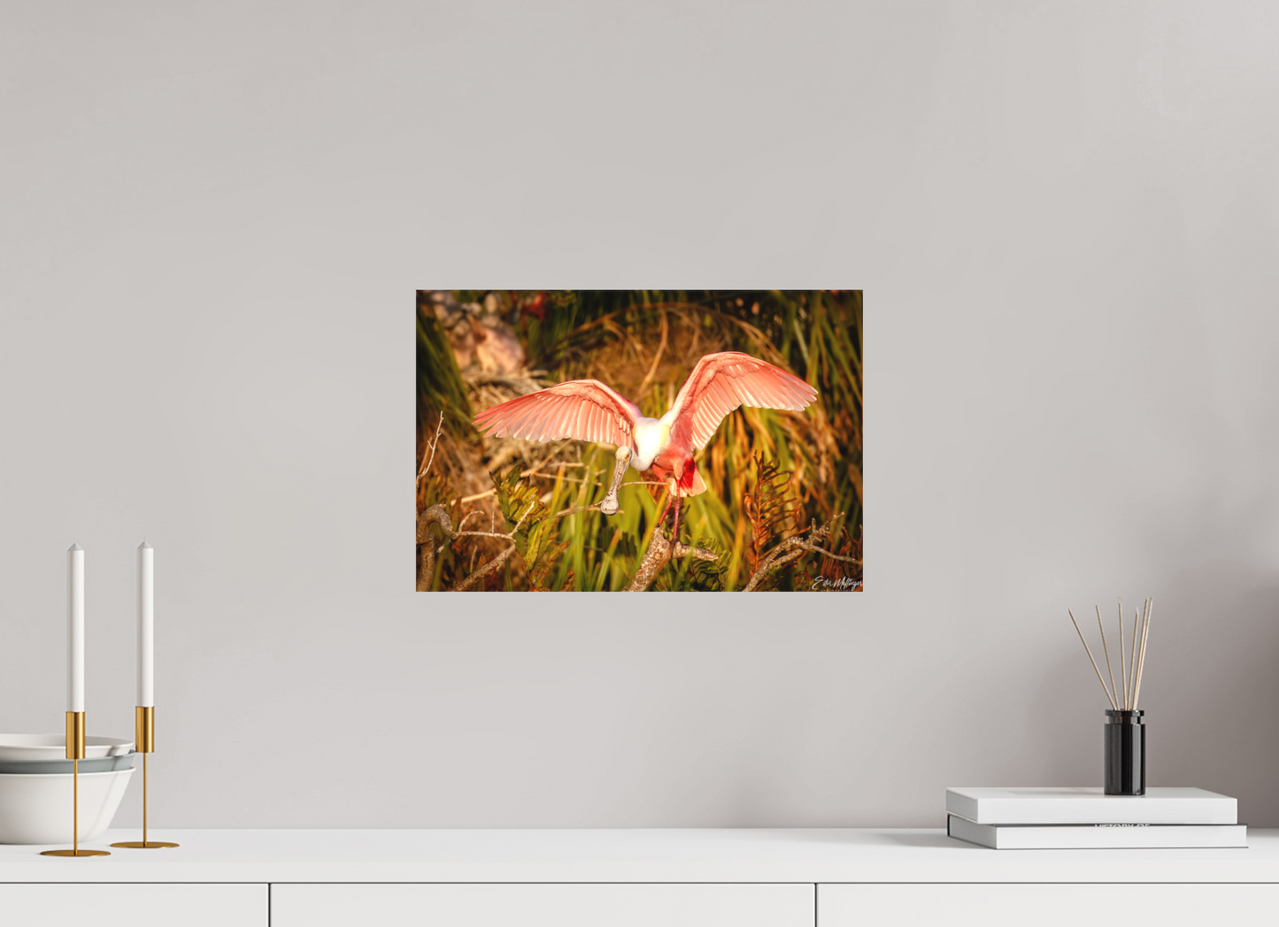 15 x 10″, Canvas "Golden Builder" - Roseate Spoonbill