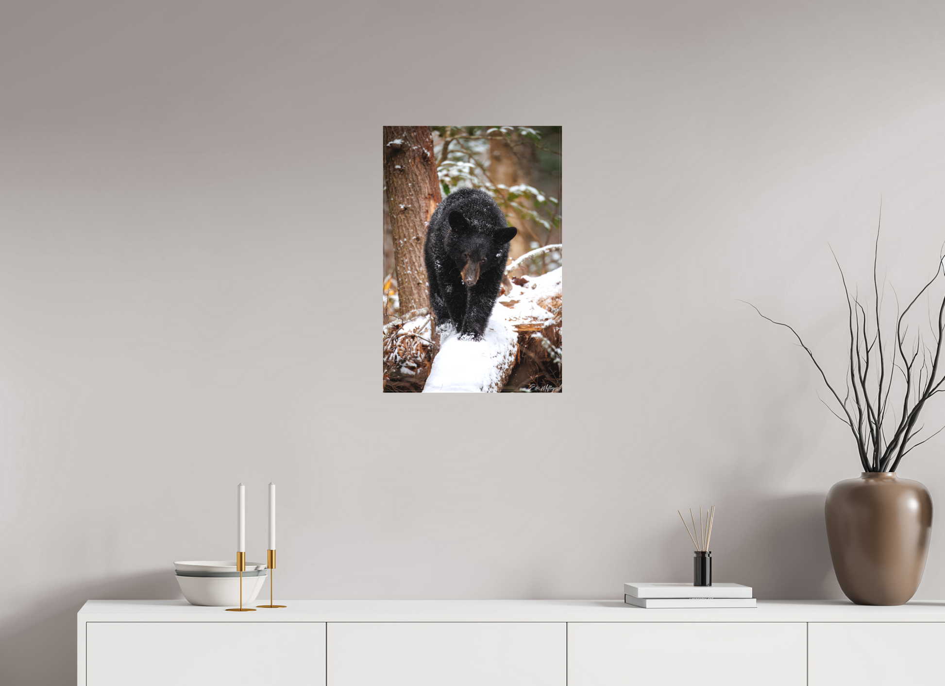 16 x 24″, Canvas "Little Snow Walker" - Black Bear