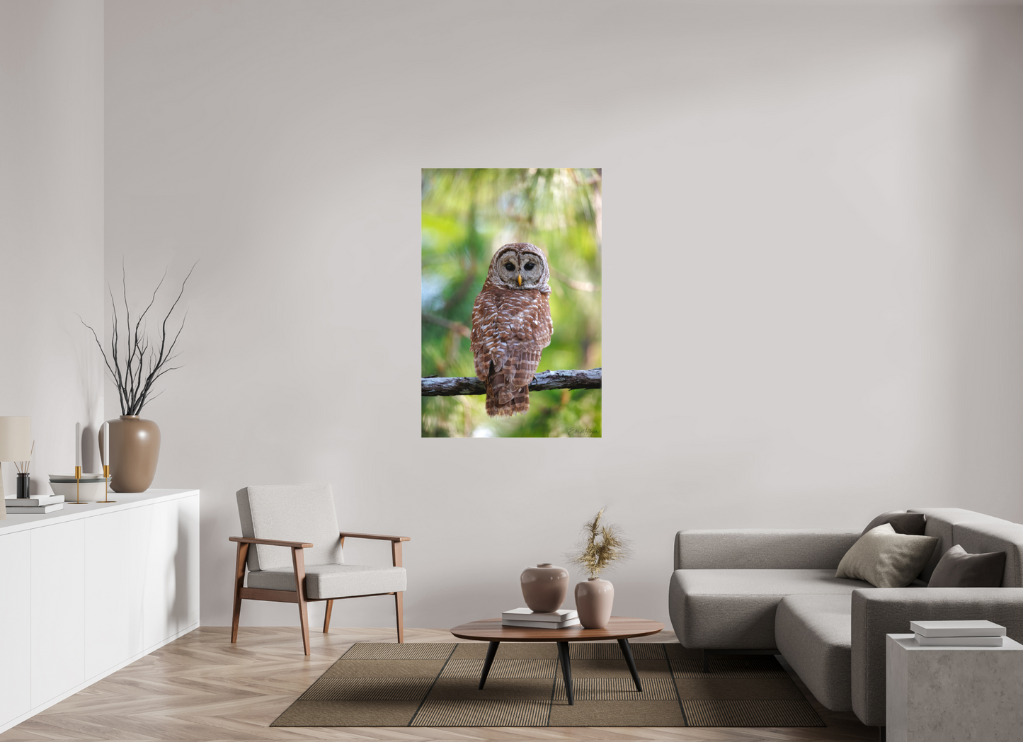 36 x 54″, Canvas "..." - Barred Owl
