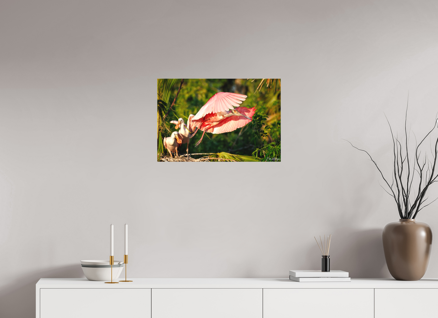 24 x 16″, Canvas "After the Feeding" - Roseate Spoonbill