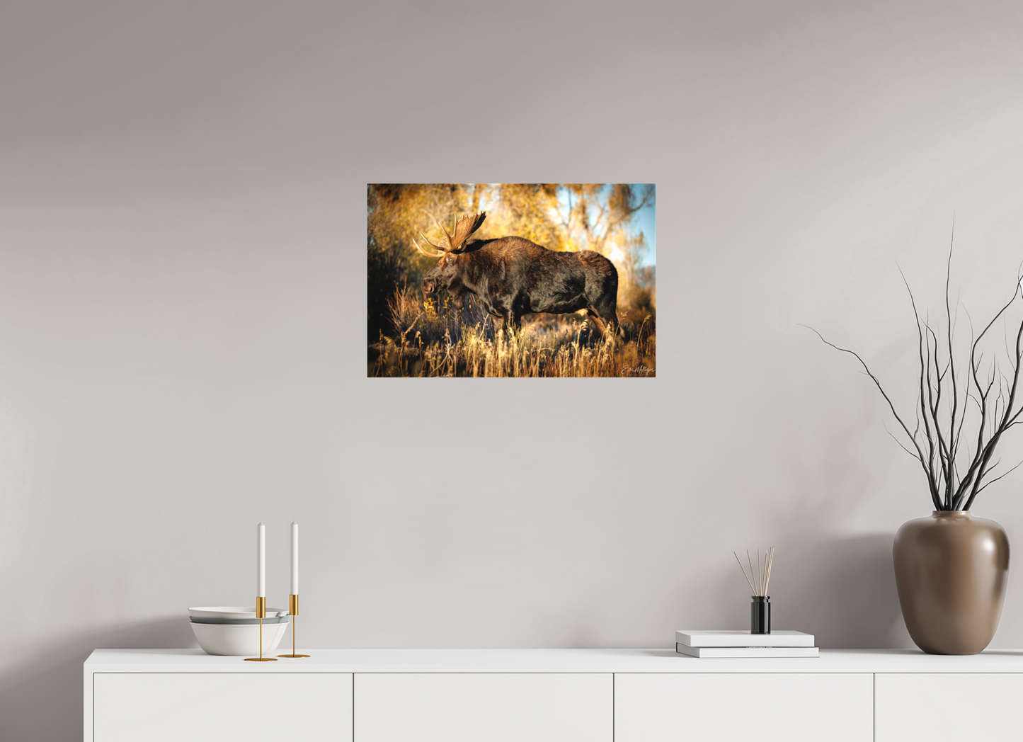 24 x 16″, Canvas "Monarch of Gros Ventre - Presence" - Bull Moose