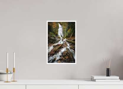 10 x 15″, Fine art print "Whispers of the Forest" - Mingo Falls
