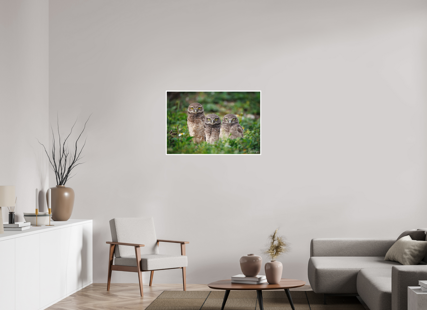 36 x 24″, Fine art print Three Little Burrowing Owls - Burrowing Owls